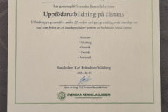 Kursintyg